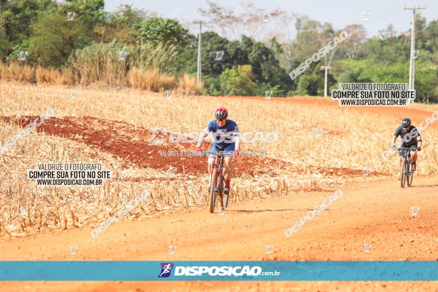 4º Pedal Light by Day