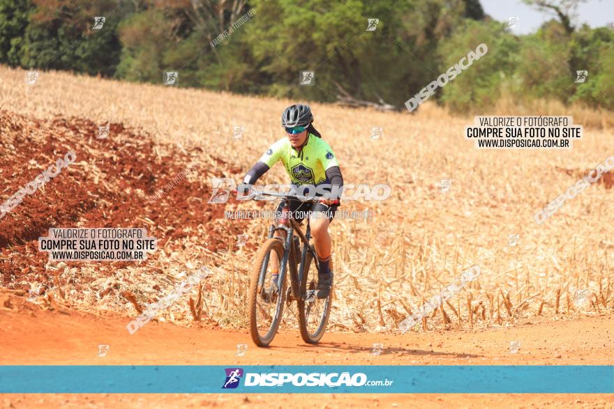 4º Pedal Light by Day