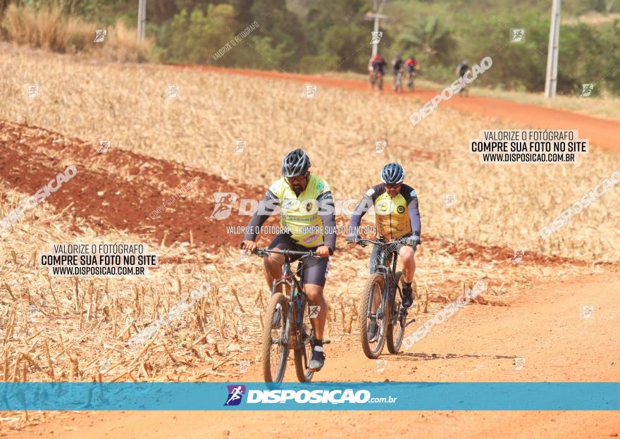 4º Pedal Light by Day