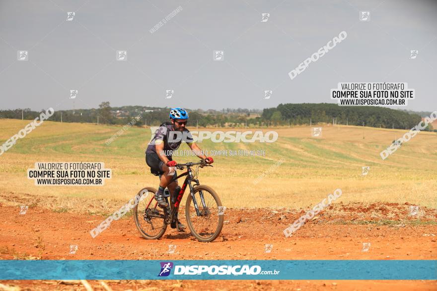 4º Pedal Light by Day