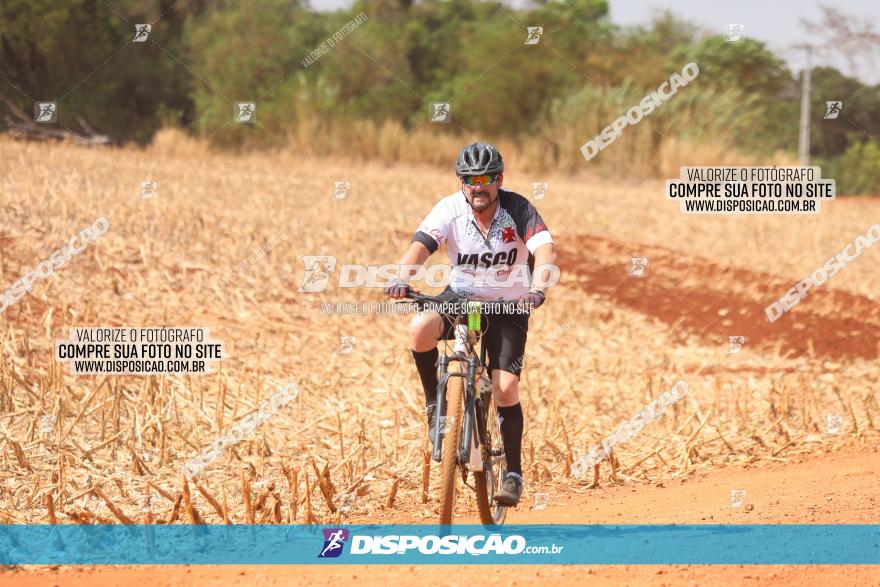 4º Pedal Light by Day