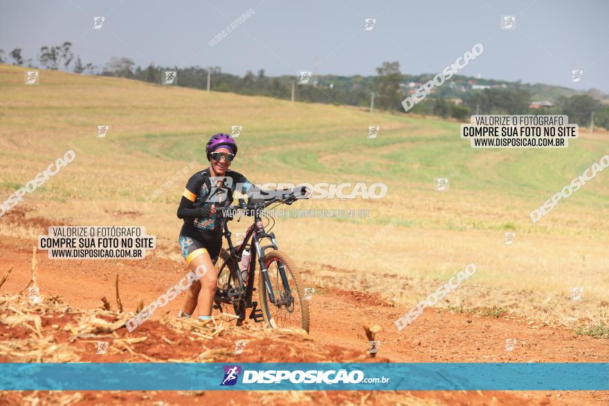 4º Pedal Light by Day