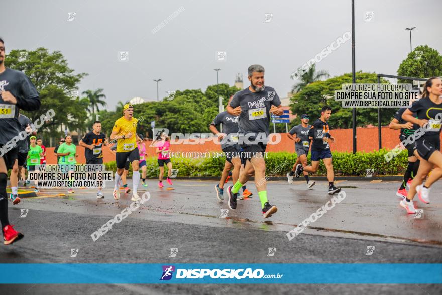 GELOBEL RUN 2023