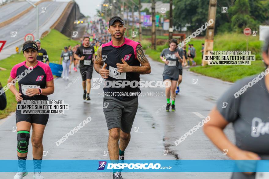 GELOBEL RUN 2023