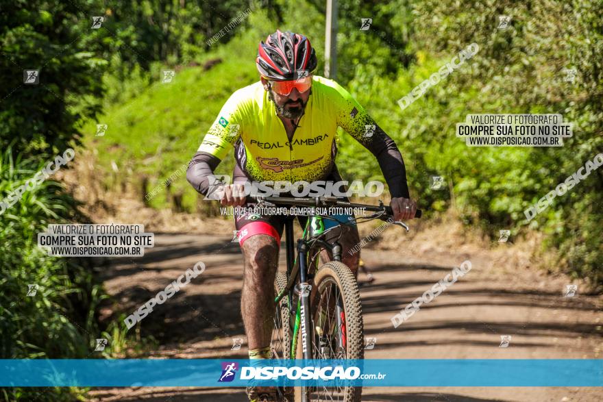 1° Circuito de Pedalada e Caminhada de Mandaguari