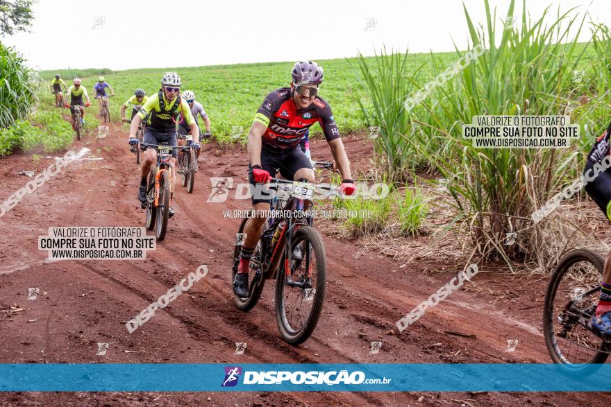 1ª EDIÇÃO DESAFIO ABELHA GRANDE - XCM