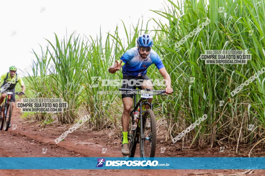 1ª EDIÇÃO DESAFIO ABELHA GRANDE - XCM