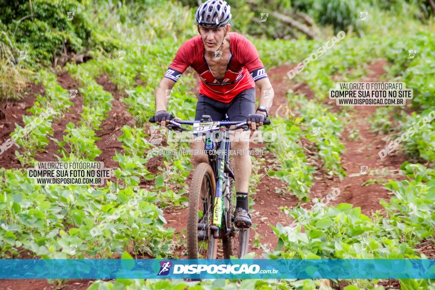 1ª EDIÇÃO DESAFIO ABELHA GRANDE - XCM