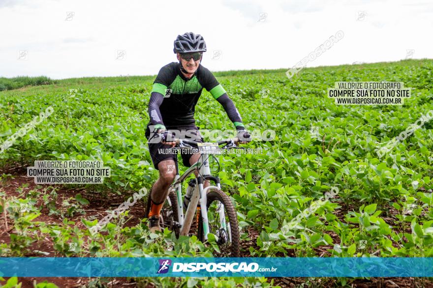 1ª EDIÇÃO DESAFIO ABELHA GRANDE - XCM