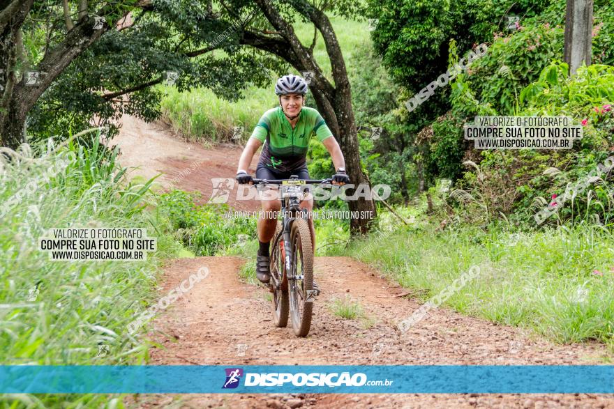 1ª EDIÇÃO DESAFIO ABELHA GRANDE - XCM