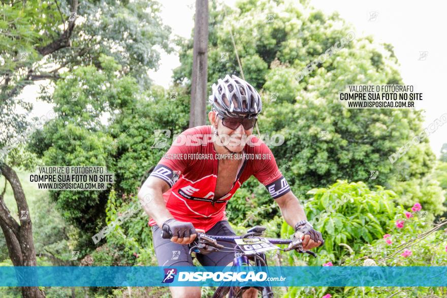 1ª EDIÇÃO DESAFIO ABELHA GRANDE - XCM