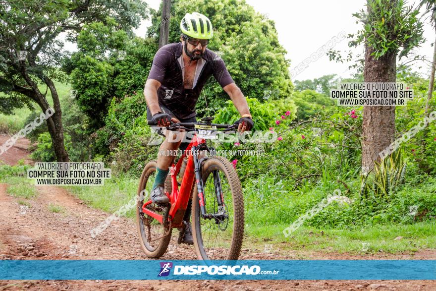 1ª EDIÇÃO DESAFIO ABELHA GRANDE - XCM