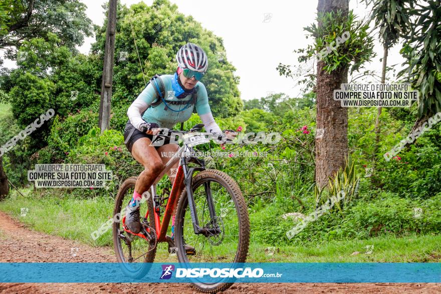 1ª EDIÇÃO DESAFIO ABELHA GRANDE - XCM