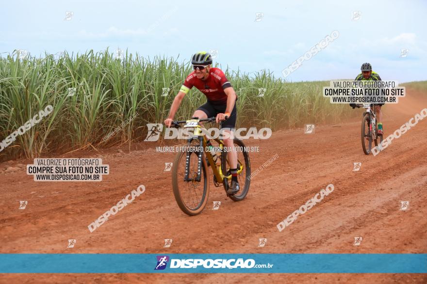 1ª EDIÇÃO DESAFIO ABELHA GRANDE - XCM