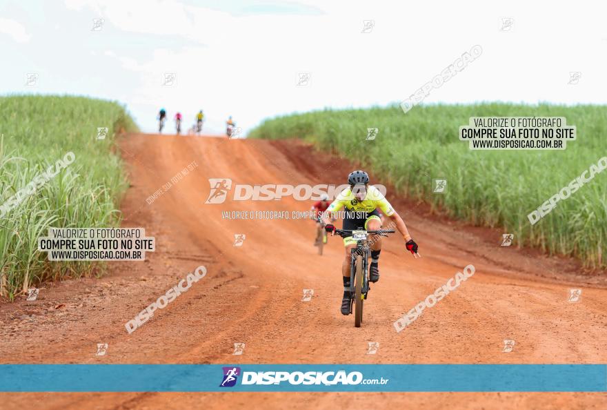 1ª EDIÇÃO DESAFIO ABELHA GRANDE - XCM