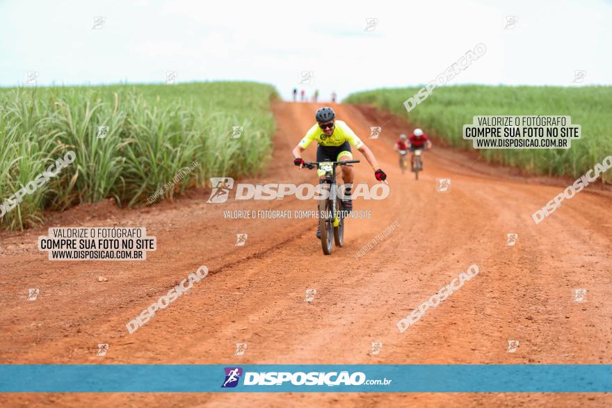 1ª EDIÇÃO DESAFIO ABELHA GRANDE - XCM