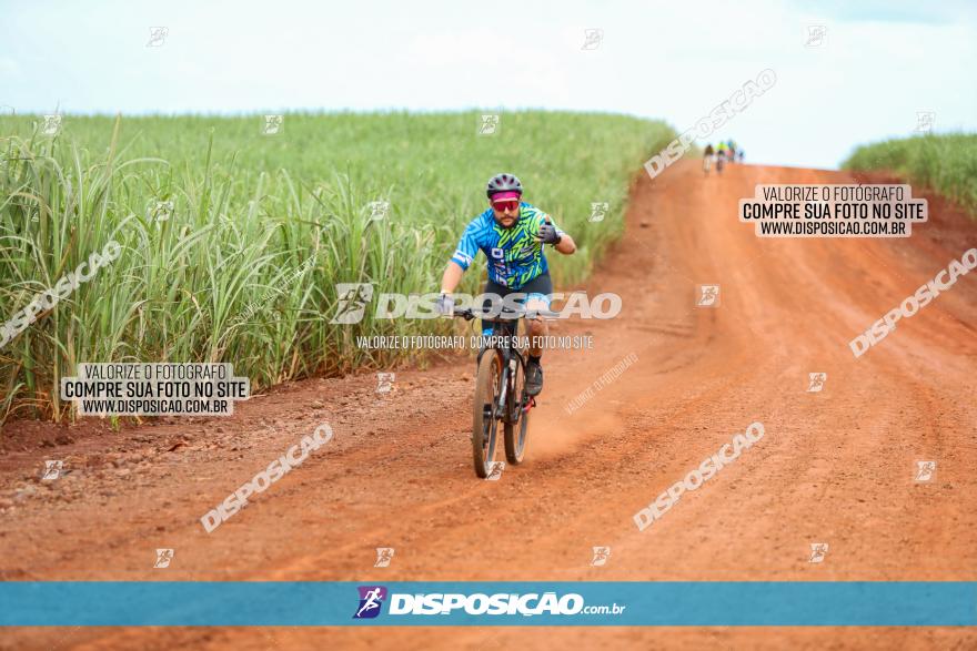 1ª EDIÇÃO DESAFIO ABELHA GRANDE - XCM