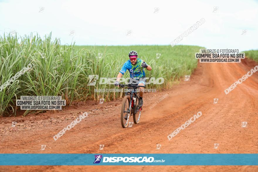 1ª EDIÇÃO DESAFIO ABELHA GRANDE - XCM
