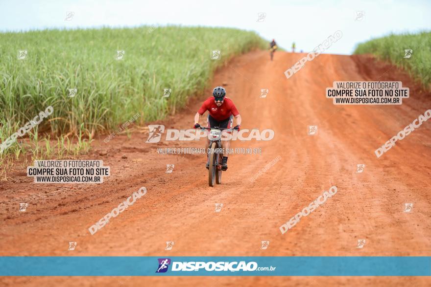 1ª EDIÇÃO DESAFIO ABELHA GRANDE - XCM