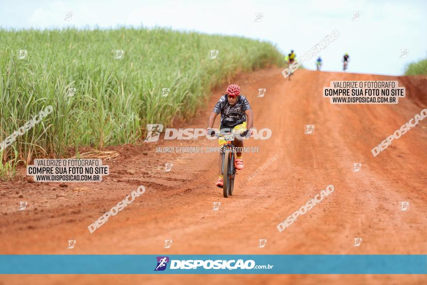 1ª EDIÇÃO DESAFIO ABELHA GRANDE - XCM
