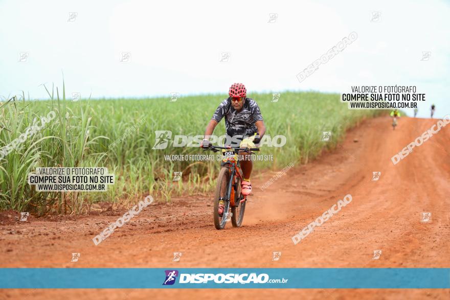 1ª EDIÇÃO DESAFIO ABELHA GRANDE - XCM