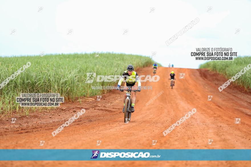 1ª EDIÇÃO DESAFIO ABELHA GRANDE - XCM
