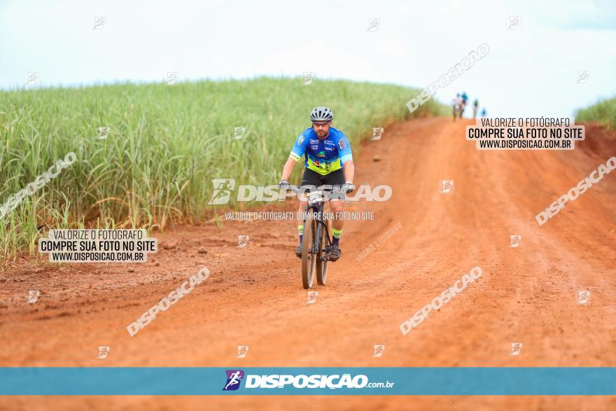 1ª EDIÇÃO DESAFIO ABELHA GRANDE - XCM