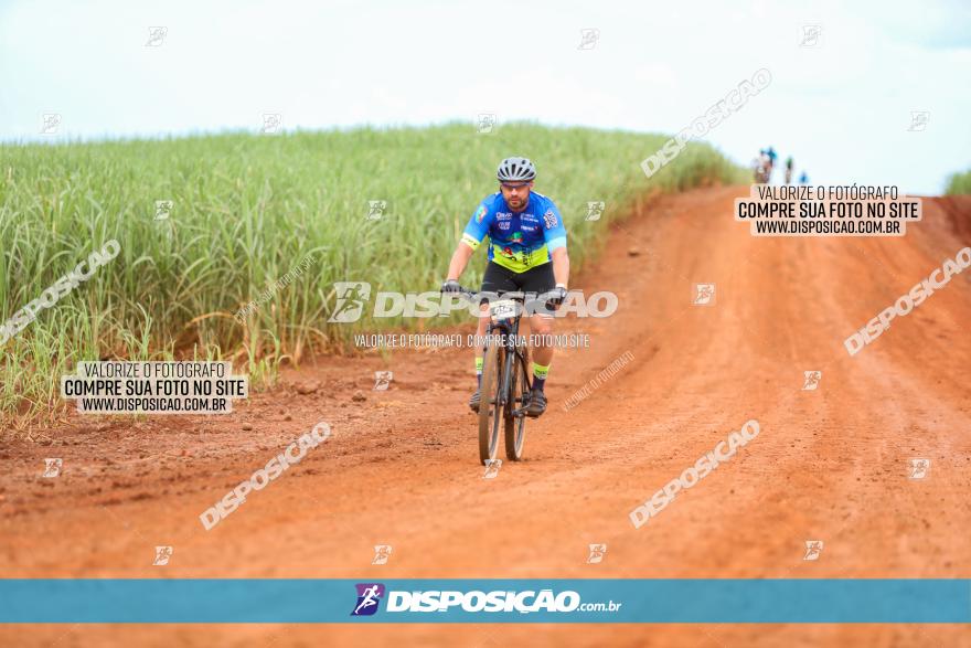 1ª EDIÇÃO DESAFIO ABELHA GRANDE - XCM