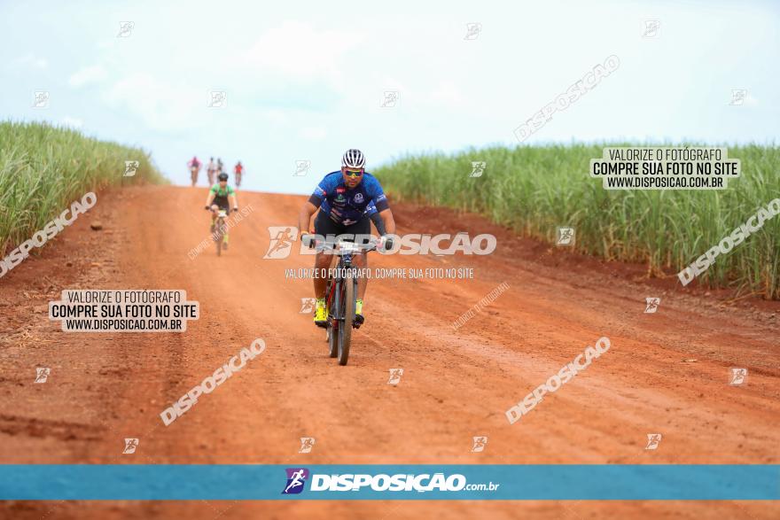 1ª EDIÇÃO DESAFIO ABELHA GRANDE - XCM