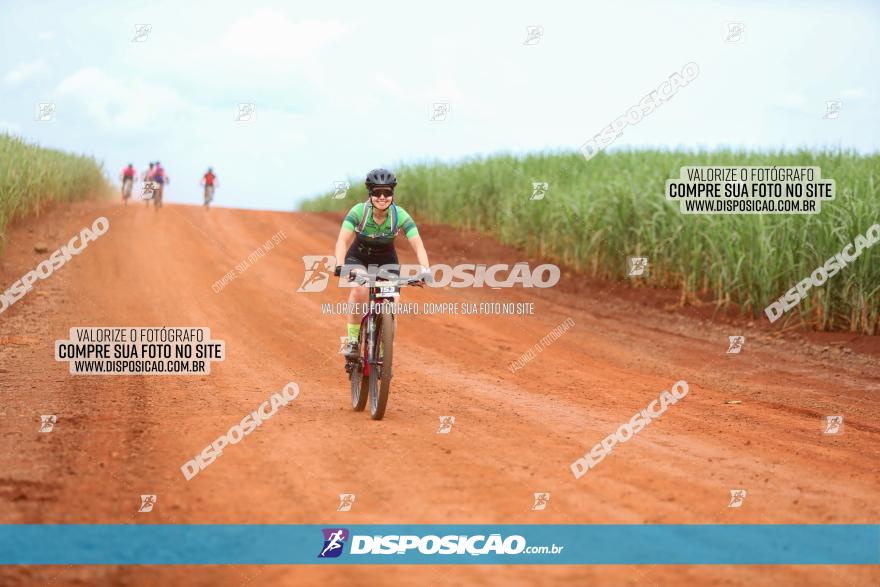 1ª EDIÇÃO DESAFIO ABELHA GRANDE - XCM