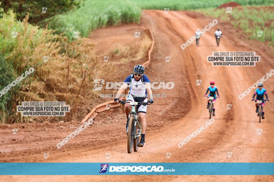 1ª EDIÇÃO DESAFIO ABELHA GRANDE - XCM