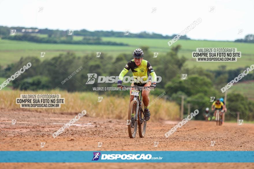 1ª EDIÇÃO DESAFIO ABELHA GRANDE - XCM