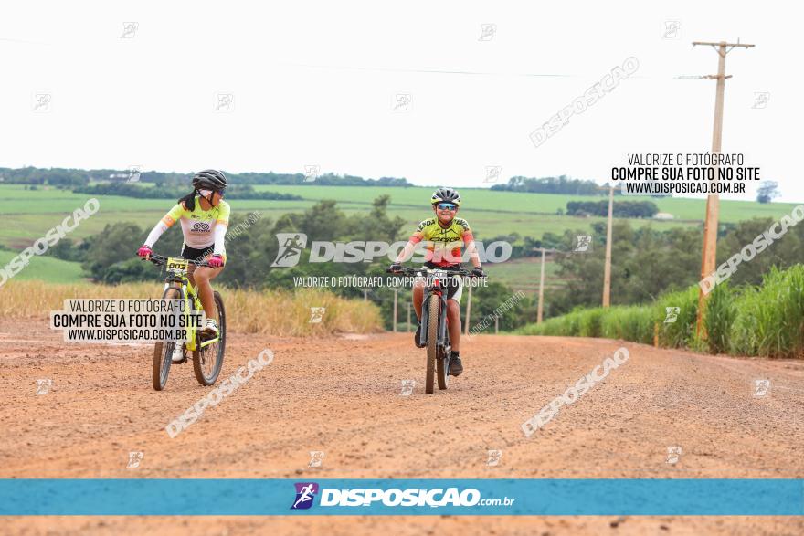 1ª EDIÇÃO DESAFIO ABELHA GRANDE - XCM