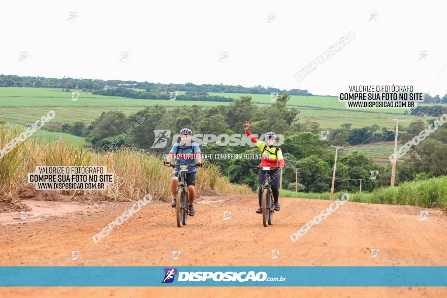 1ª EDIÇÃO DESAFIO ABELHA GRANDE - XCM