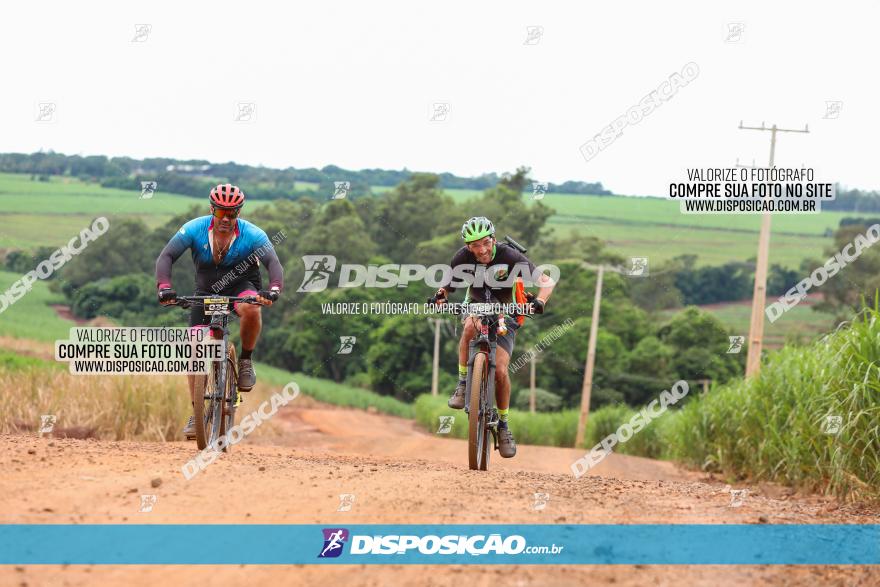 1ª EDIÇÃO DESAFIO ABELHA GRANDE - XCM