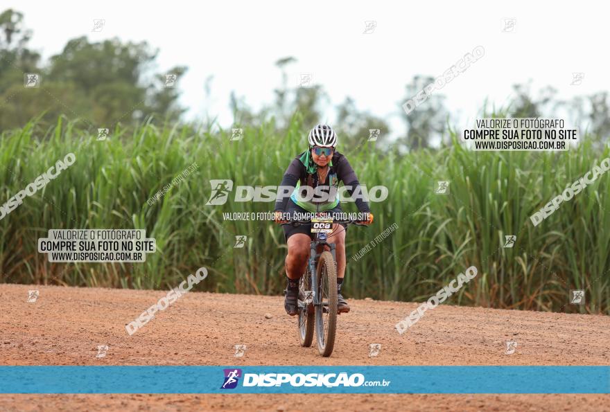 1ª EDIÇÃO DESAFIO ABELHA GRANDE - XCM