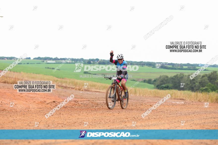 1ª EDIÇÃO DESAFIO ABELHA GRANDE - XCM