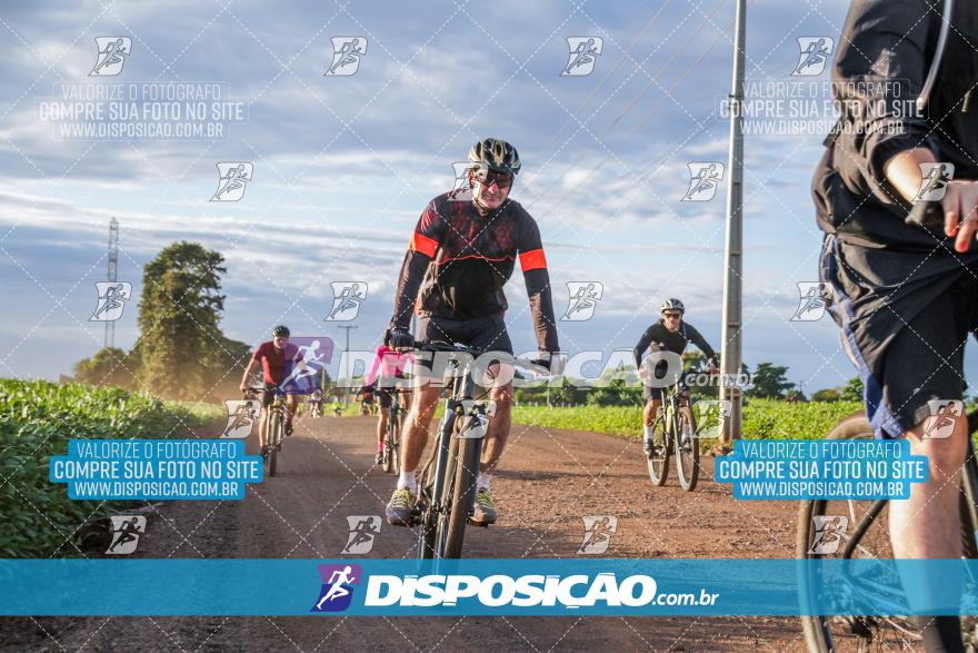 6º Pedal Light by Day - Milani Bike