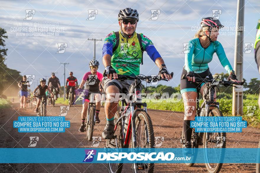 6º Pedal Light by Day - Milani Bike