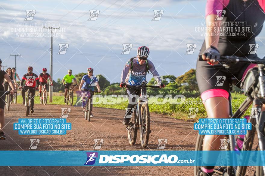 6º Pedal Light by Day - Milani Bike