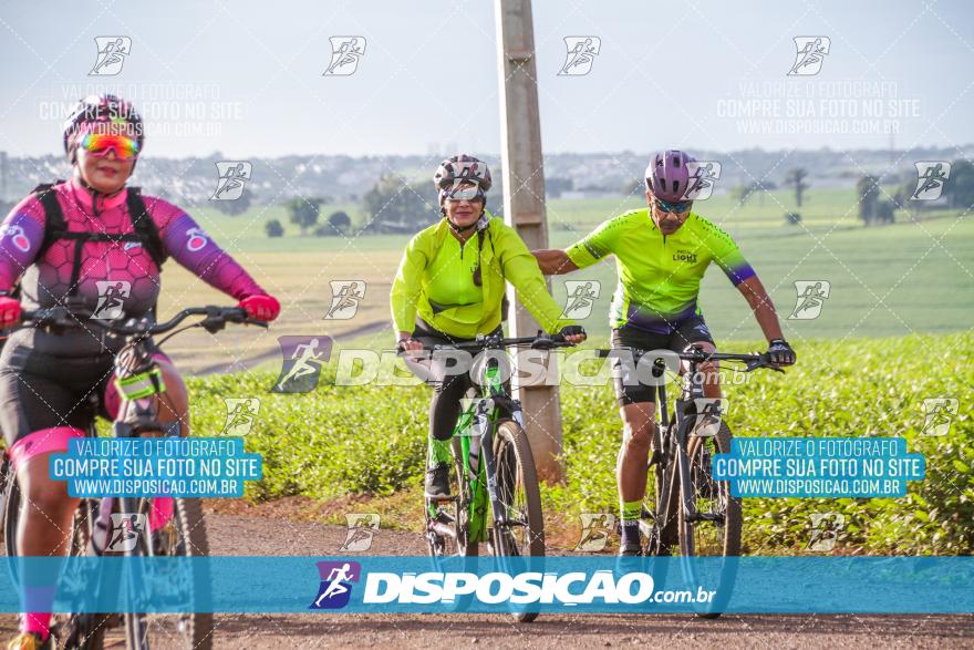 6º Pedal Light by Day - Milani Bike