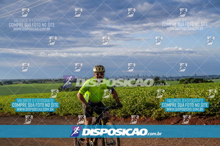6º Pedal Light by Day - Milani Bike