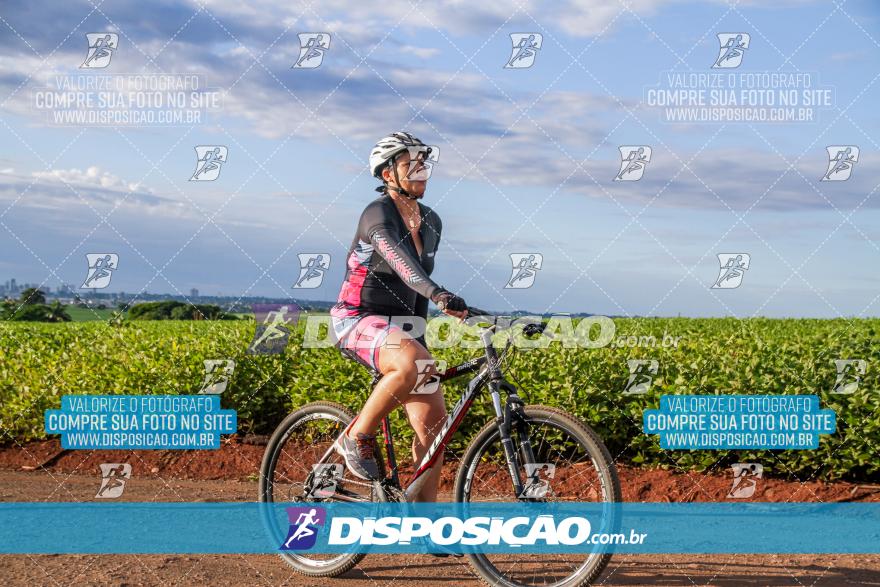 6º Pedal Light by Day - Milani Bike