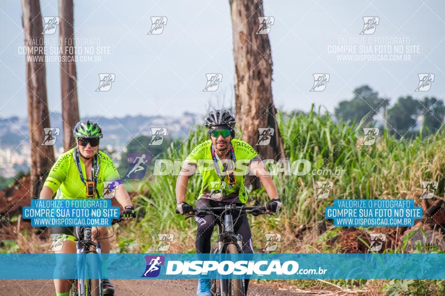 6º Pedal Light by Day - Milani Bike