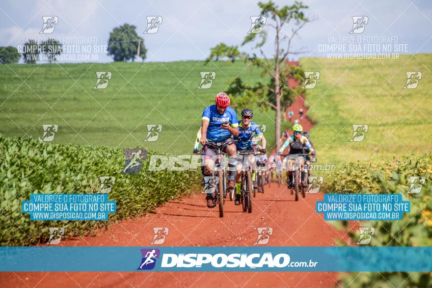 6º Pedal Light by Day - Milani Bike