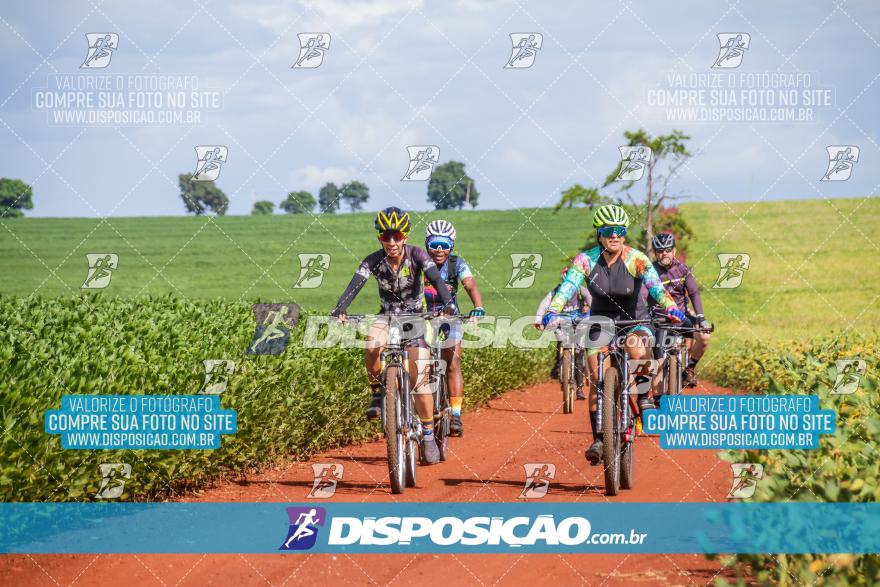 6º Pedal Light by Day - Milani Bike
