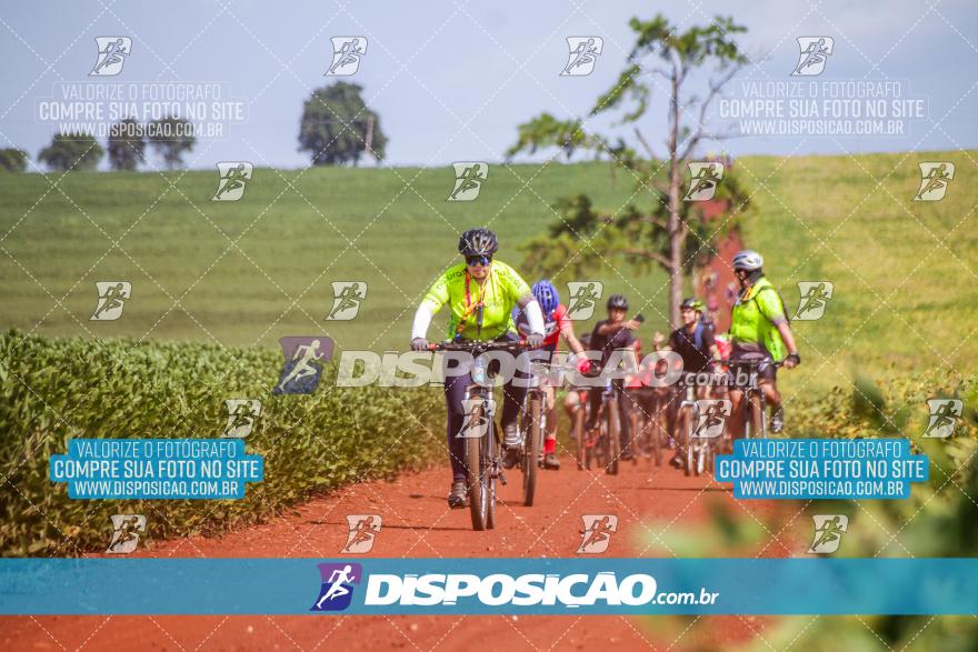 6º Pedal Light by Day - Milani Bike