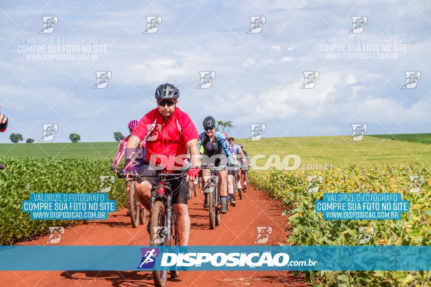 6º Pedal Light by Day - Milani Bike