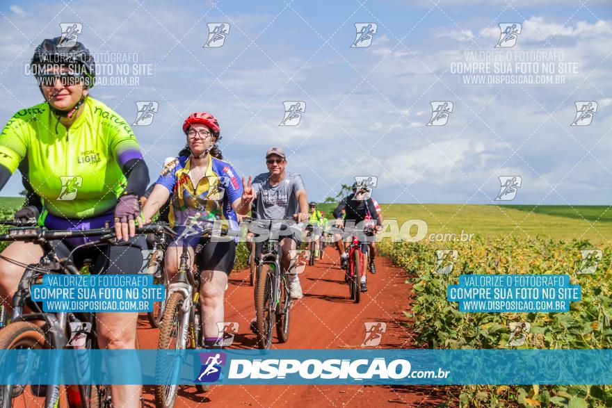 6º Pedal Light by Day - Milani Bike