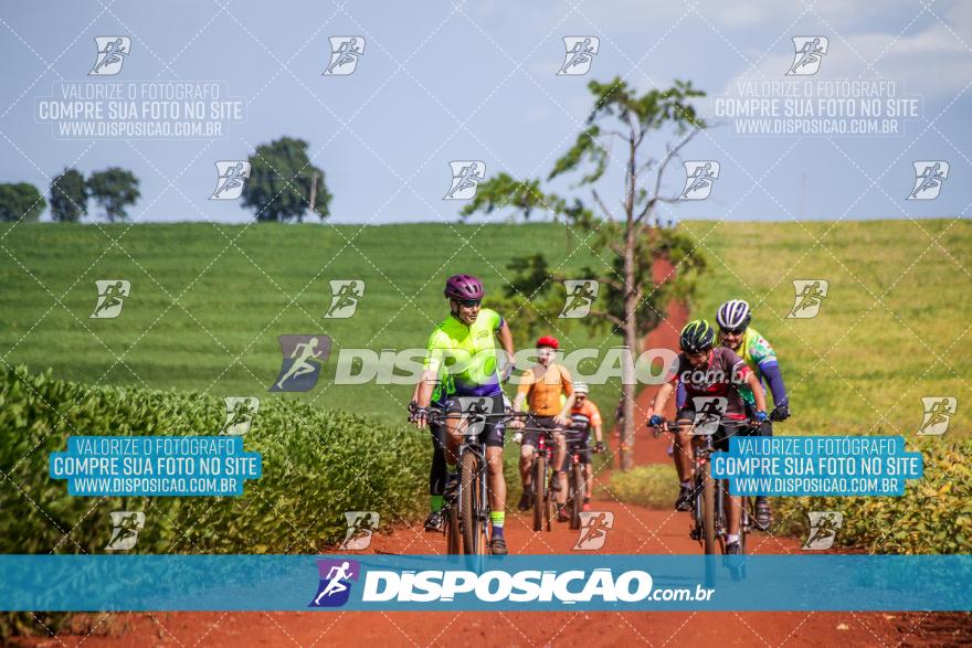6º Pedal Light by Day - Milani Bike